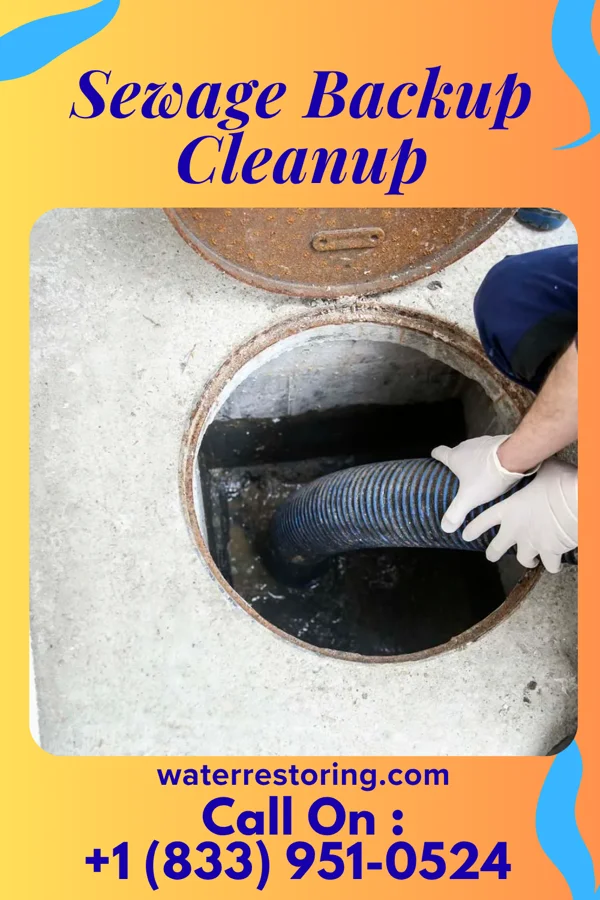 Sewage Backup Cleanup in Cedar Valley, OK