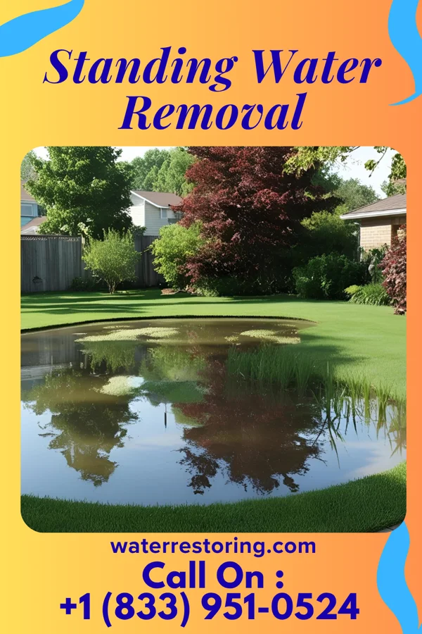 Standing Water Removal in Cedar Valley, OK